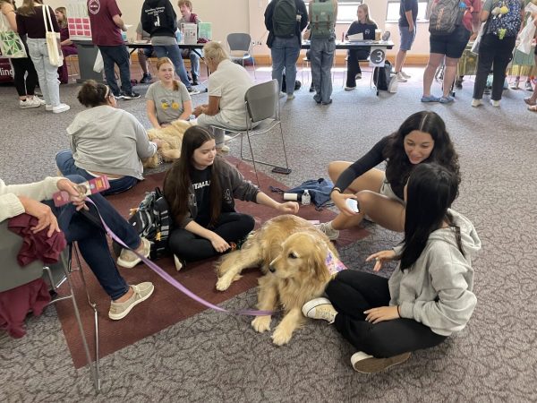 Stress Less with Pets welcomes healthy students with furry friends. 