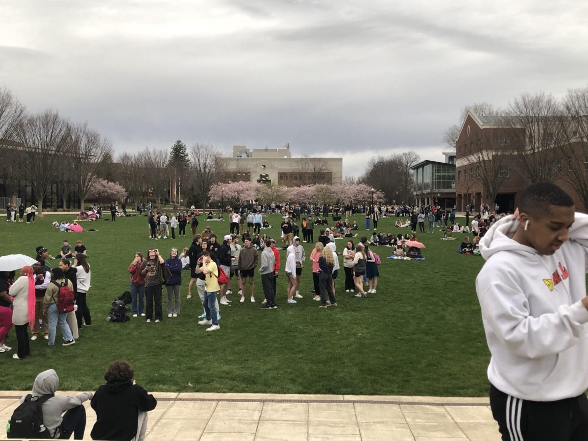 Crowds out on the quad hoping to catch a glimpse of the eclipse.