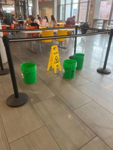 Buckets have been scattered around the bottom floor of Soltz to catch the leaking water.