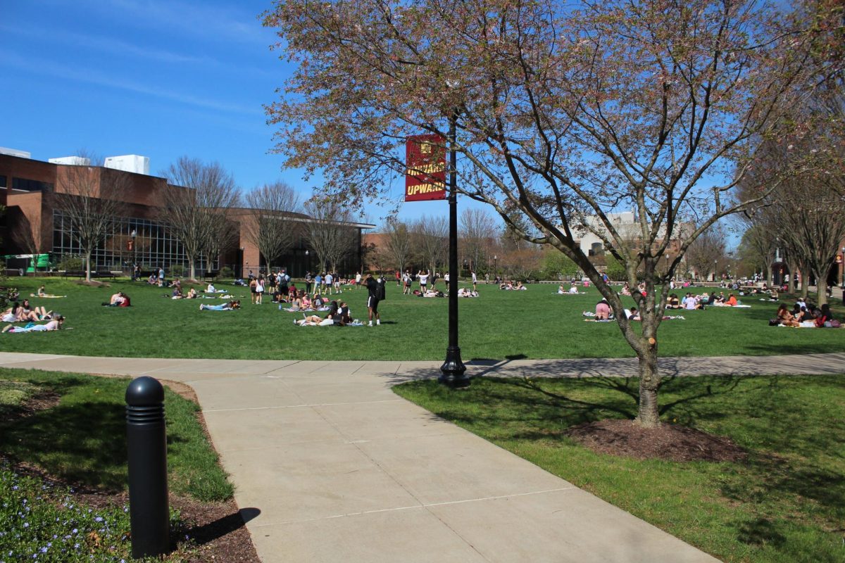 Students fill the quad during a sunny day.