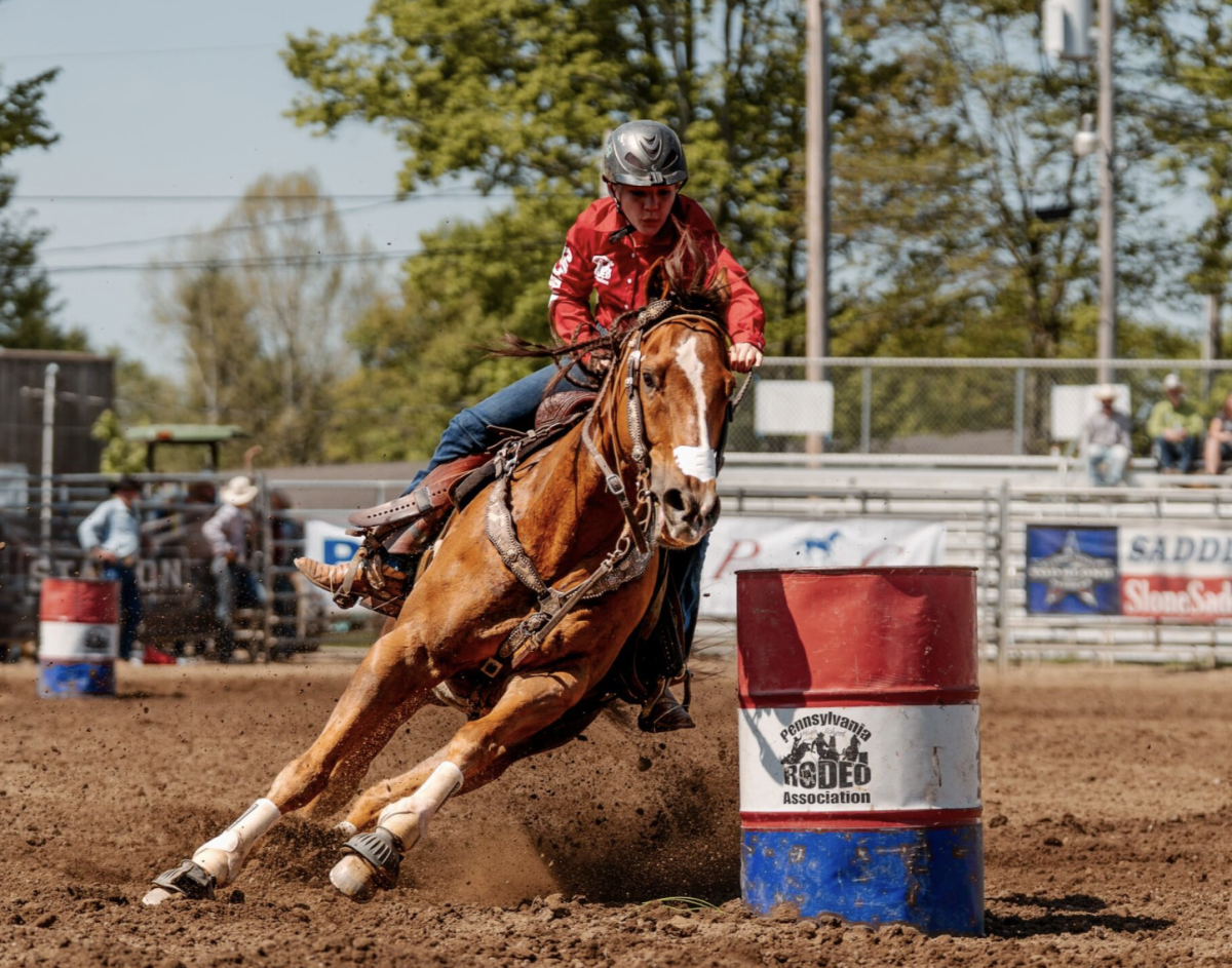 Photo courtesy of Turquoise Lane Photography. 